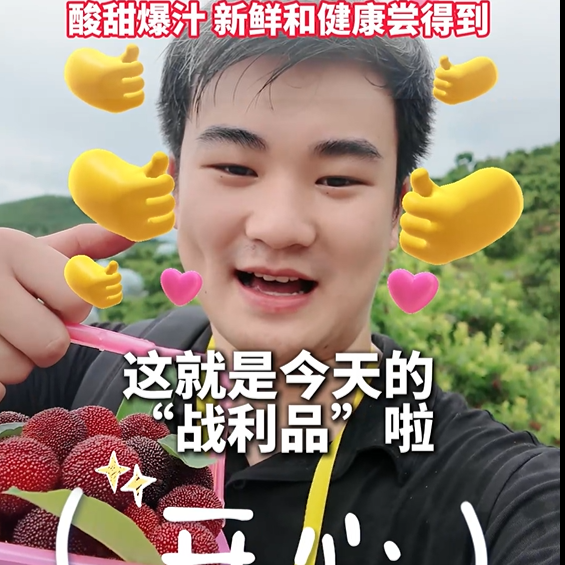 微视频｜从树上摘下来就能直接吃！用镜头带你看看靖州的新鲜杨梅