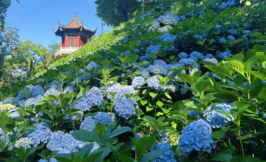 微信图片_20260602084134_3376_12.jpg
