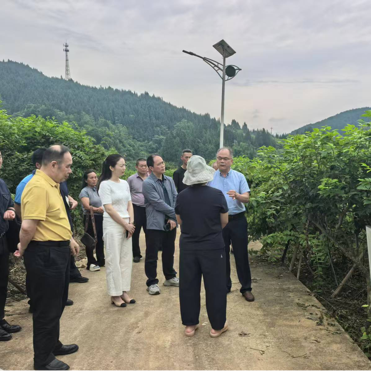 科技“及时雨”下田！专家把脉林下经济，开出“实操宝典”