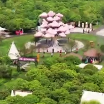 芷江：桃花岛上的夏日浪漫