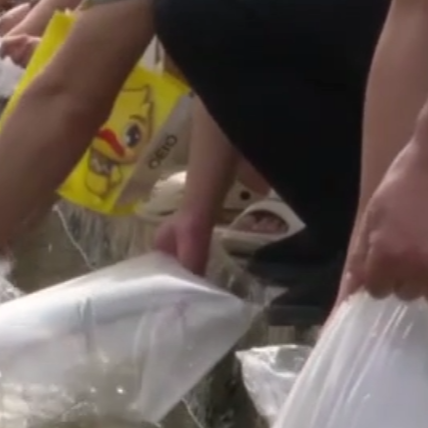 溆浦：放流白鲢草鱼2万尾