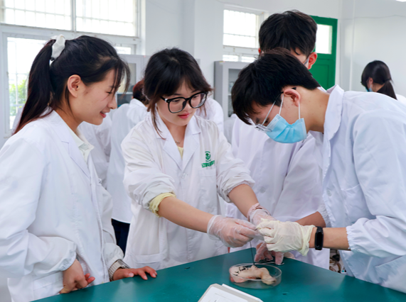怀化职院：开展综合技能实训教学，淬炼学生真本领