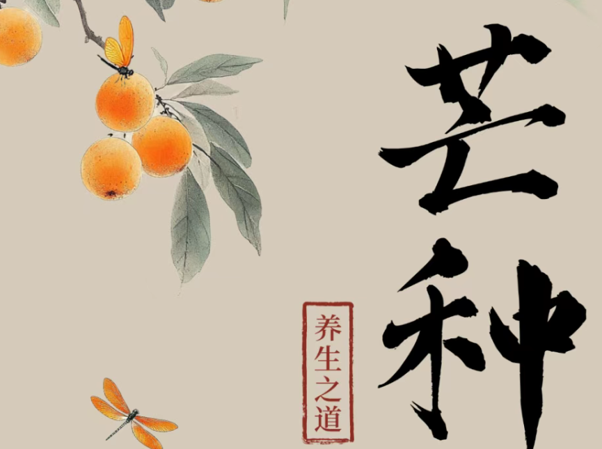 芒种后，天热湿气重，防病牢记四原则