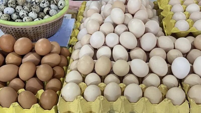 农贸市场内的鸡蛋摊位。摄影/冯小芯