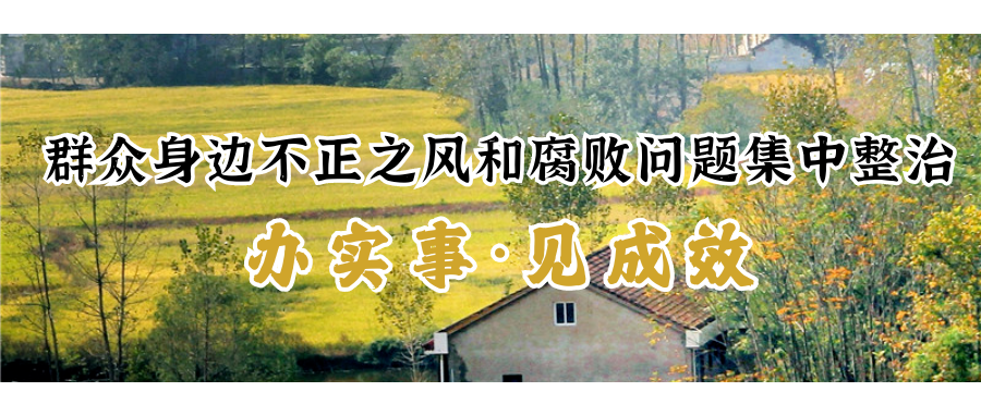 鼎城：以铁的纪律守护群众“养老钱”