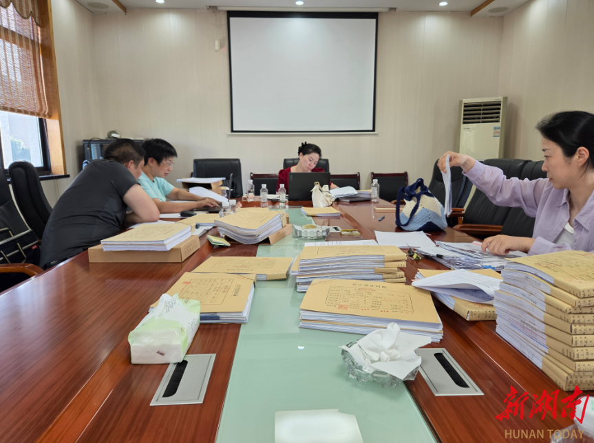 严查乡村振兴资金问题！临湘市启动专项整治及2026年“强基固本”回头看