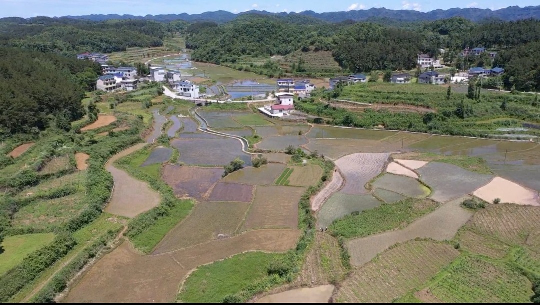 校地协作助力，山货出村进校园