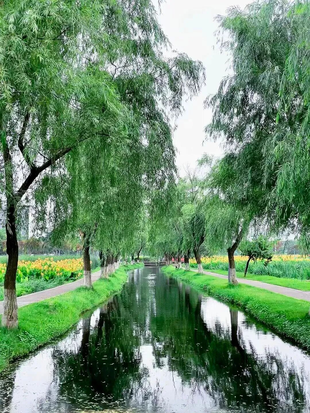 你不知道的宝藏新区丨长沙有个“鱼鳞瀑布” 景观