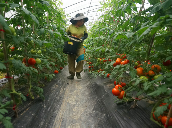 侃财邦｜瞄准38个偏远县区！帮农民增收，湖南这么干