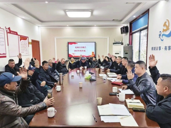 长沙天心区：阳光下的“三资”账本，如何鼓起村民“钱袋子”@湖南日报