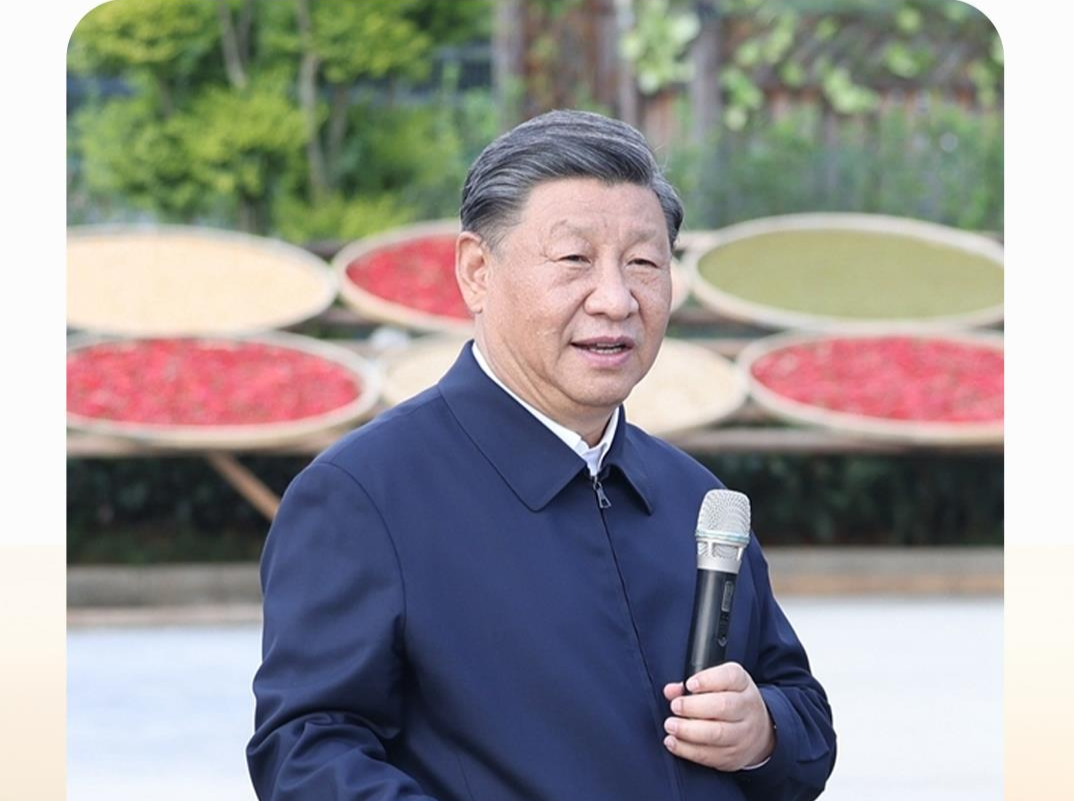 时政微观察丨我将无我 不负人民