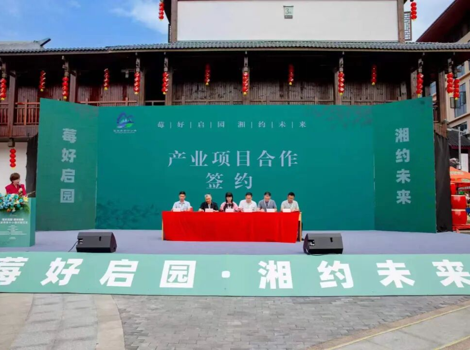 张家界茶叶小镇正式开园  多项科研、产业项目集中签约
