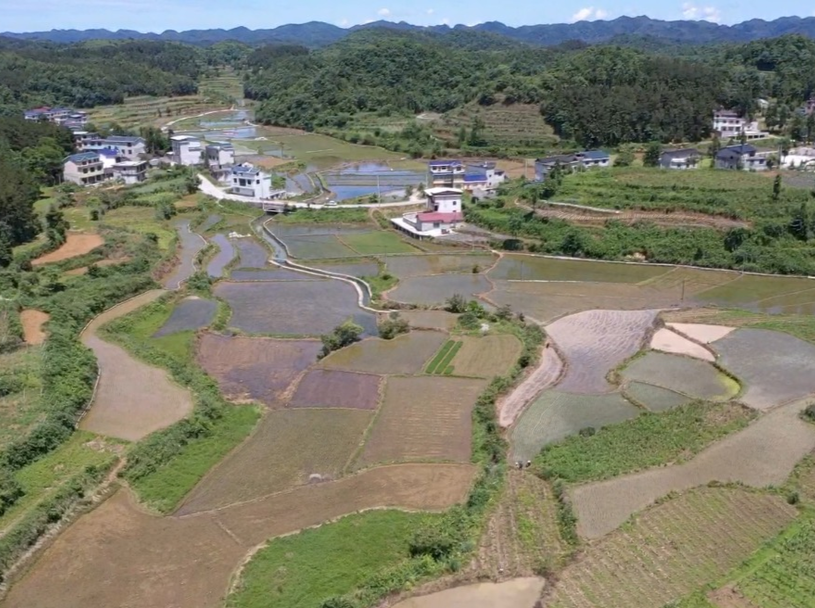 在家拥有一方田园！苗寨富硒稻田开启云端认养啦→