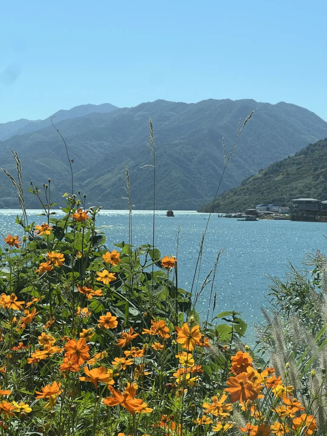 IMG_4940.JPG
