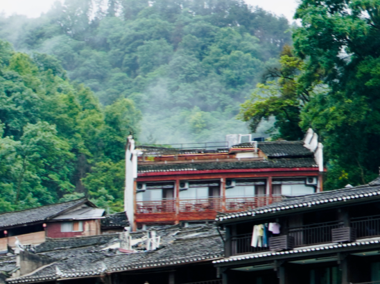 散文｜老木深山“茅故事”