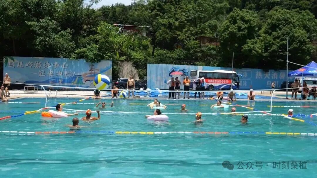 桑植县举办水上趣味运动会 湘鄂泳友同乐迎端午