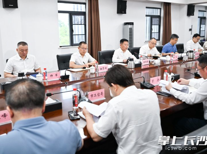 陈博彰在马栏山视频文创产业园调研园区高质量发展、音视频装备产业链建设并召开座谈会