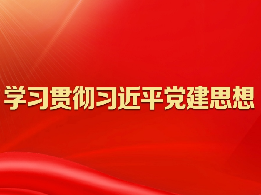 坚持健全上下贯通、执行有力的组织体系——深入学习贯彻习近平党建思想系列述评之八