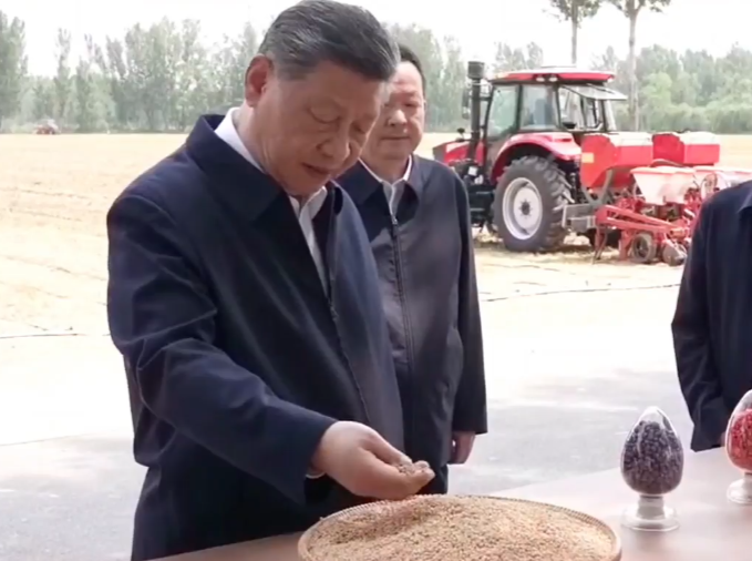 近镜头｜总书记手中这把麦粒凝聚同心奋斗