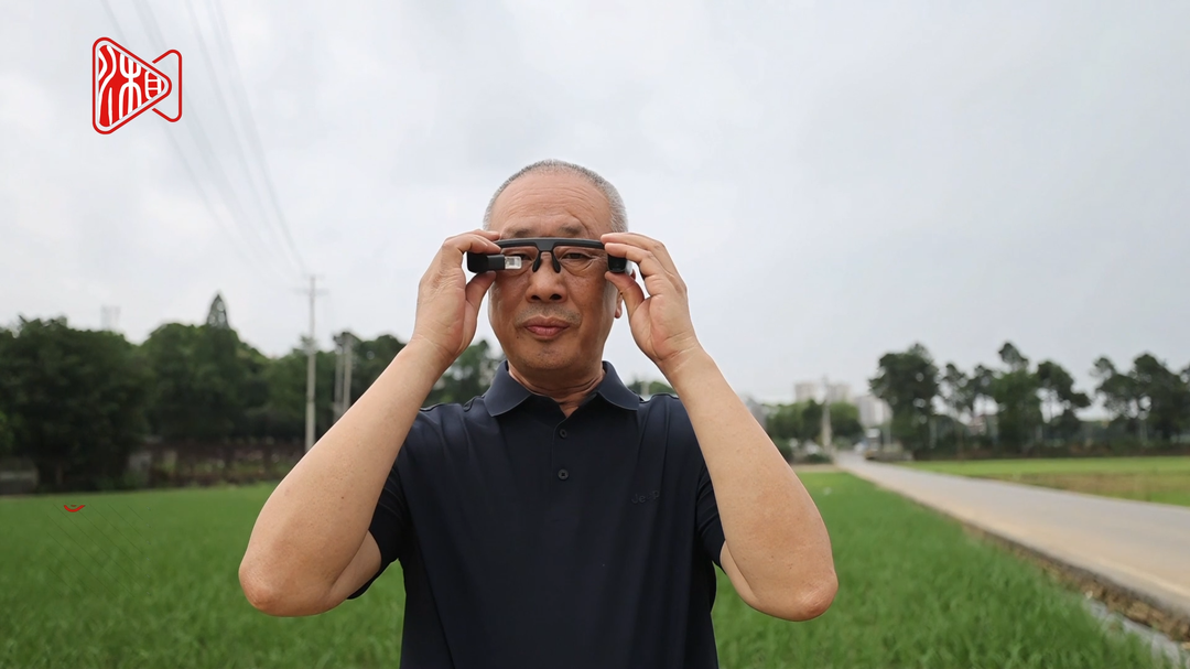 AR眼镜查虫害，比人工快3倍