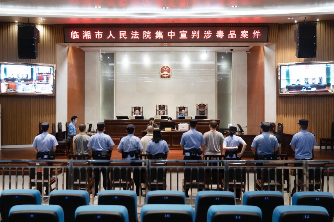 临湘法院：以审判之力筑牢全民防毒防线