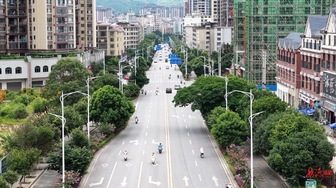 临武：紫薇盛夏怒放 市民乐享“花漾时光”