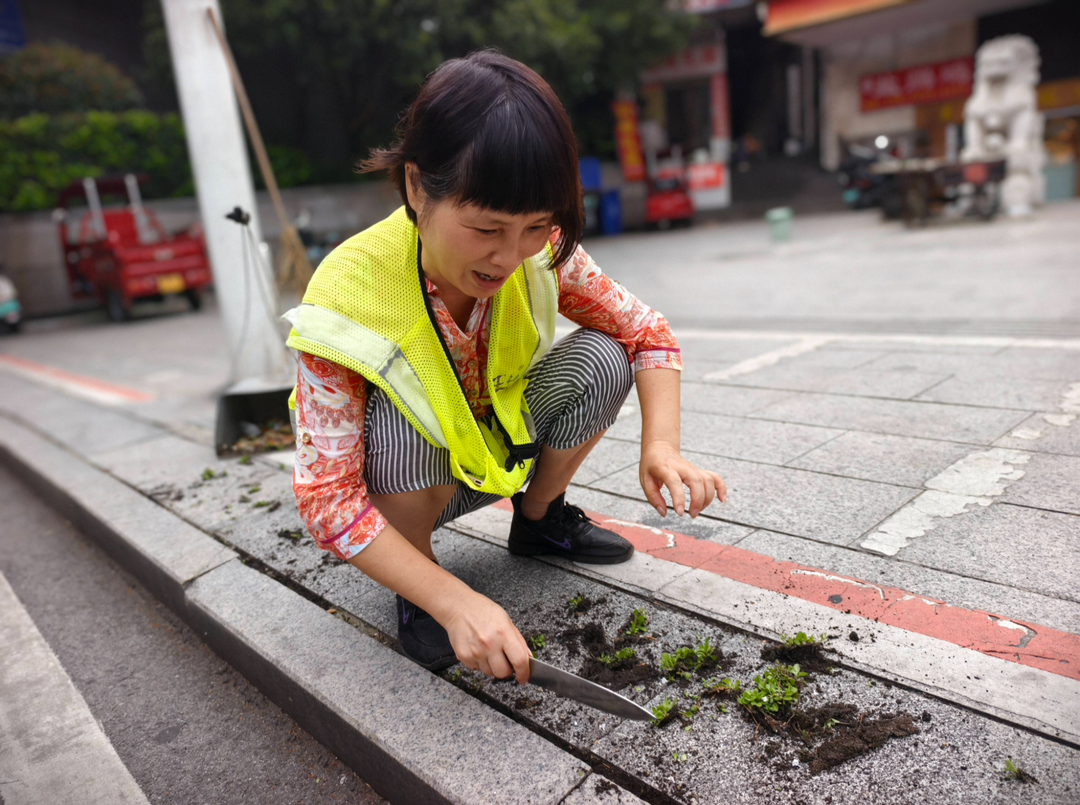 鹤城区：环卫工细致守护城市颜值       