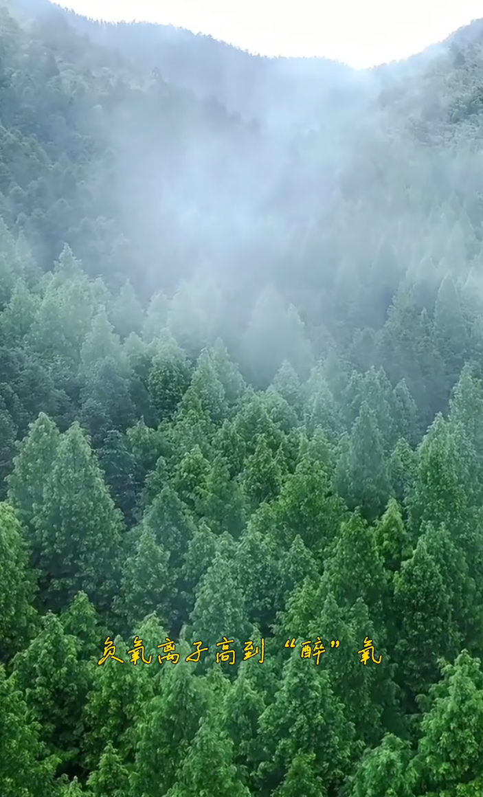 视频 | 史上最强厄尔尼诺来袭，高温酷暑，快来21℃神农谷出逃