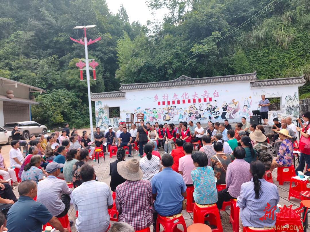 桑植县洪家关白族乡“帅乡茶话”搭平台 解民忧