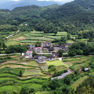 办好民生实事 绘就和美乡村