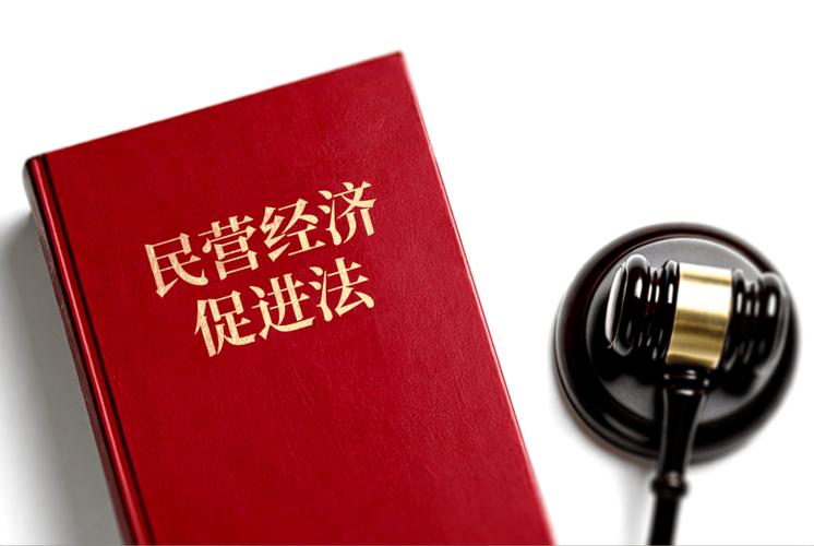 民营经济促进法颁布实施已满一年，成效如何？