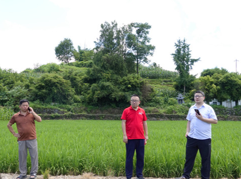 水稻种植收入保险“怀化方案”来了，首张保单落地沅陵文家坪村