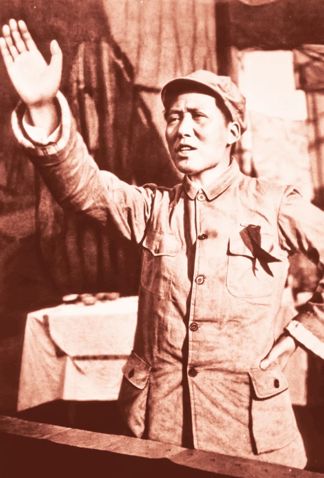 20261358.jpg