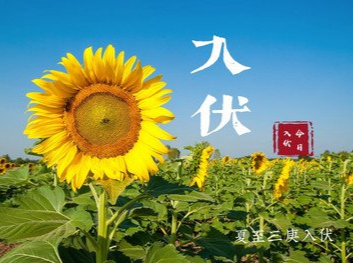 明天入伏！（附避暑指南）
