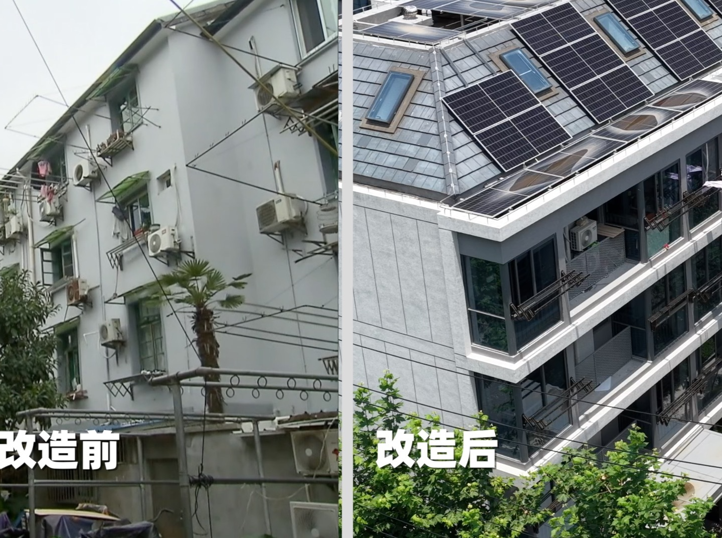 习近平上海行丨城市更新点亮旧社区 新方式共筑“心”家园——走进黄浦区半淞园路街道市民新村居民区