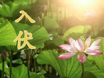 今日入伏：三伏天养生，做好七件事