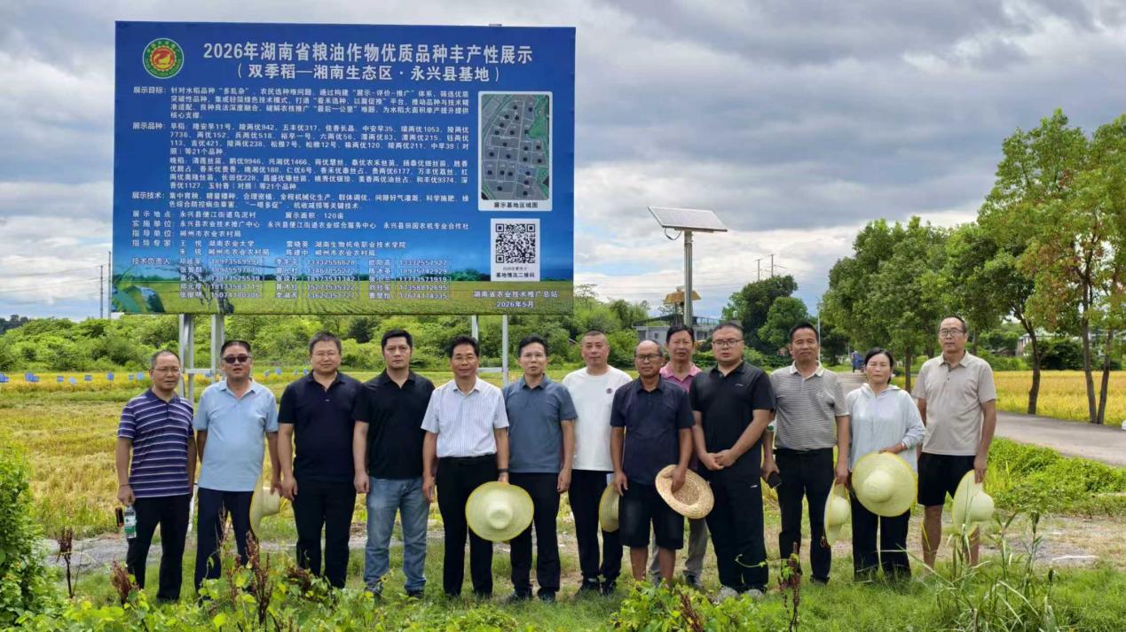 良种+良法，永兴早稻参展品种获省测产专家组一致好评