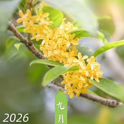 “请3天假能休13天”，冲上热搜