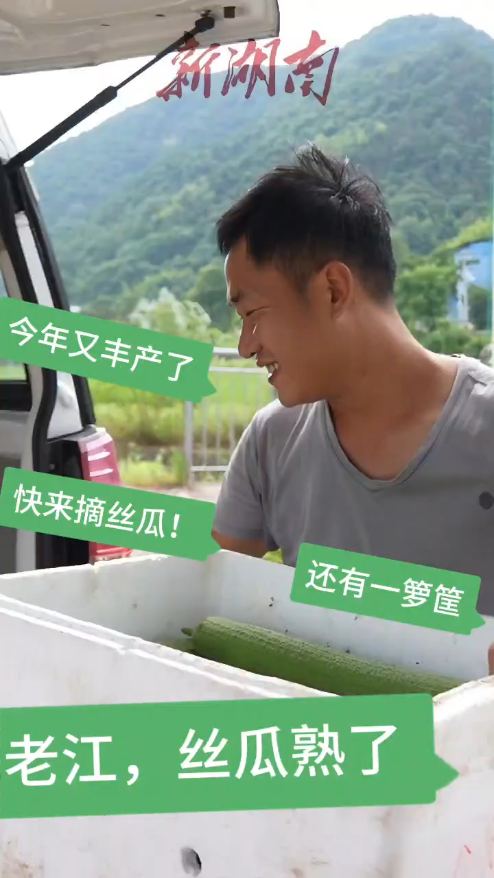 视频 | 中方县农户返乡创业“种瓜得瓜”