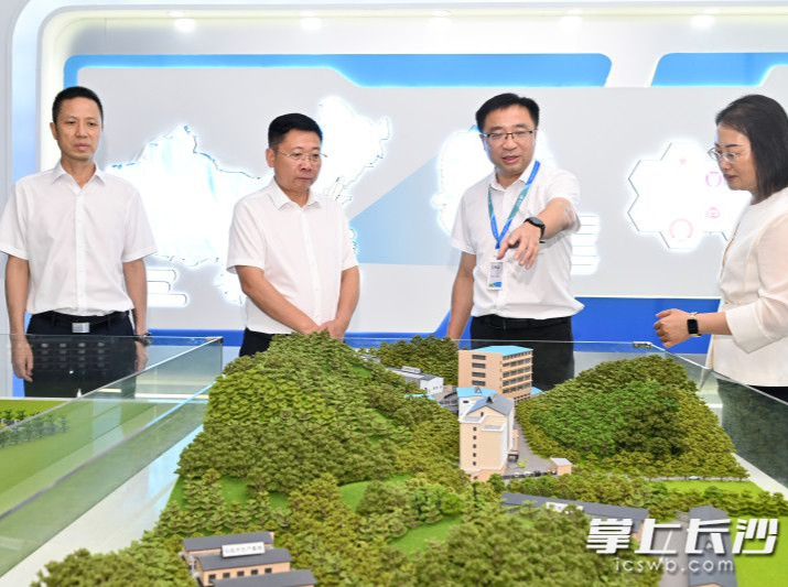 陈博彰在浏阳经开区调研园区高质量发展、生物医药及医疗器械产业链建设并召开座谈会