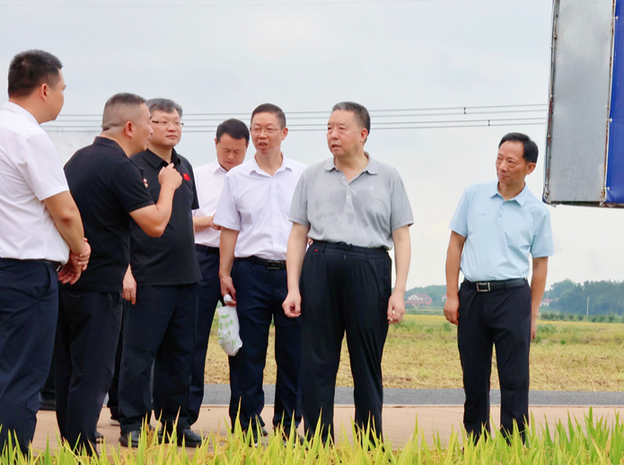 毛万春在常德市调研