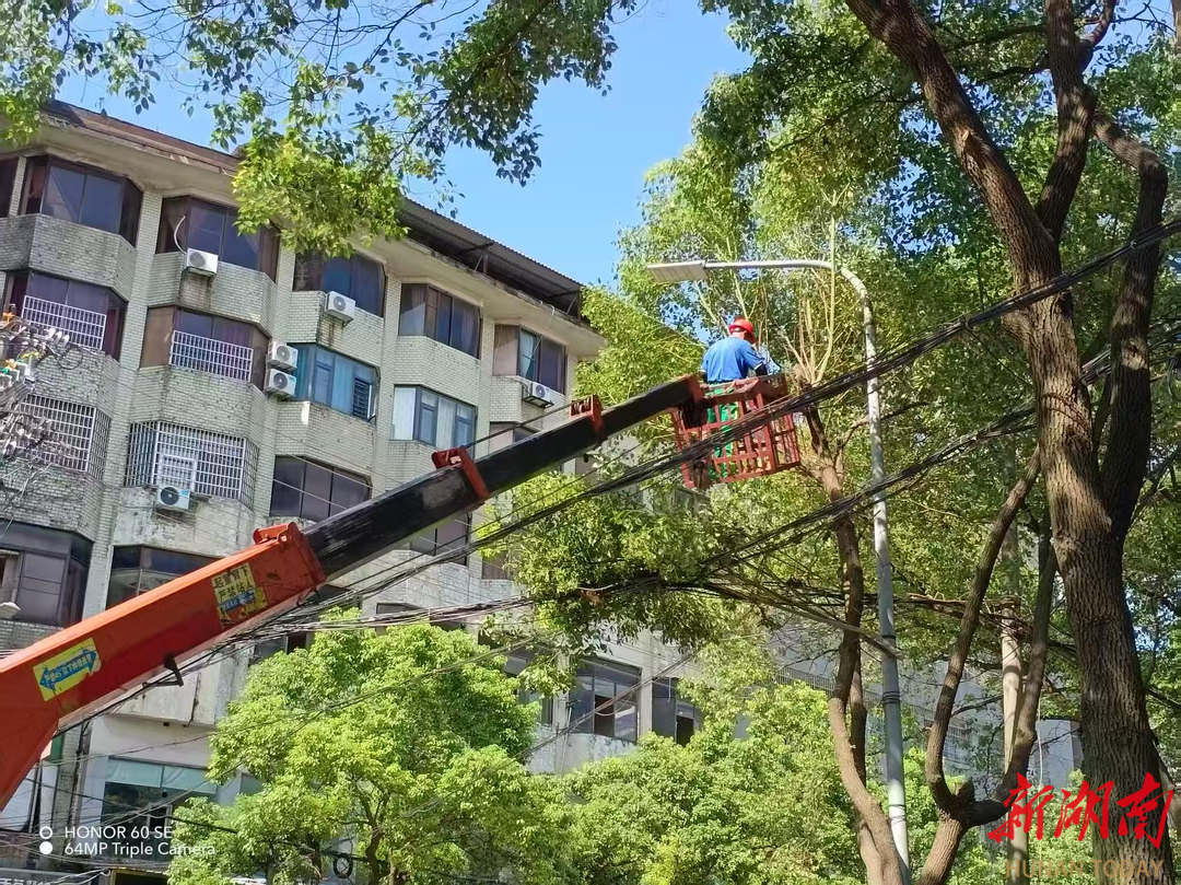 南县｜错峰管护战高温！城管高温下用汗水浇灌城市绿意