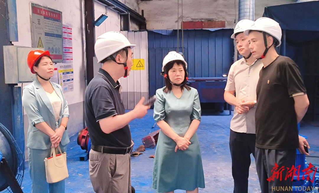 湘潭市人大代表湘潭县第三小组开展集中视察
