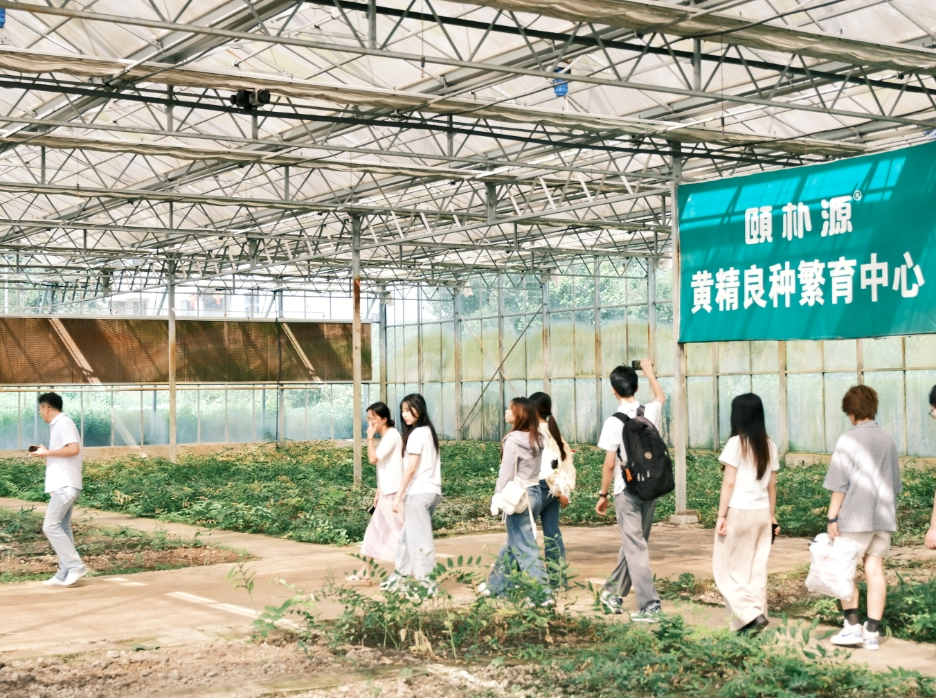 青春力量走进“中国黄精之乡” 湖南农大学子为新化特色产业发展建言献策