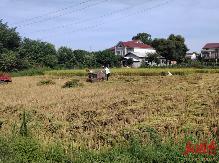 八十九岁奶奶的“急电”