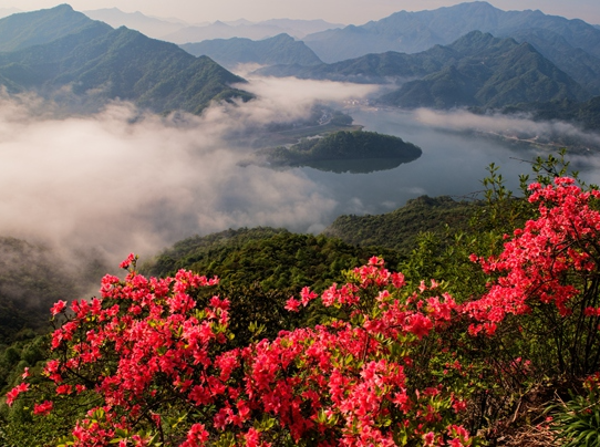 旅行从看风景转向买情绪 “情绪文旅”为何成万亿级新风口