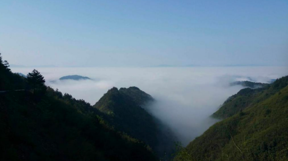 七绝｜黄叶：丙午夏游夜郎大峡谷