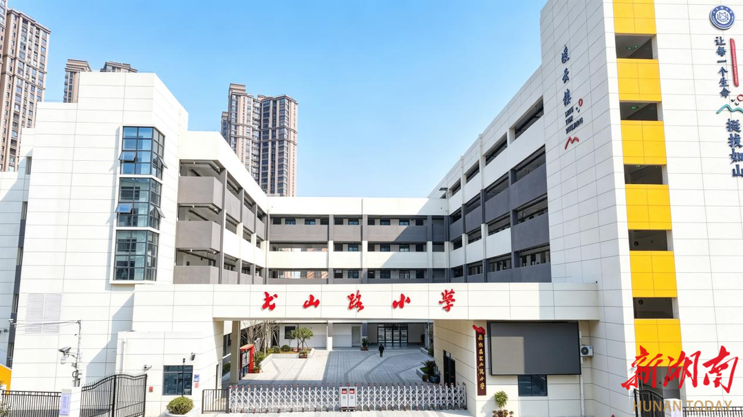 聚力耕耘 奋楫蒸湘② | 蒸湘区：厚植民生福祉，书写幸福答卷