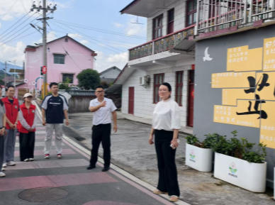 智汇侗乡 才兴乡村——芷江第五期“博士讲堂”走进桃花溪村