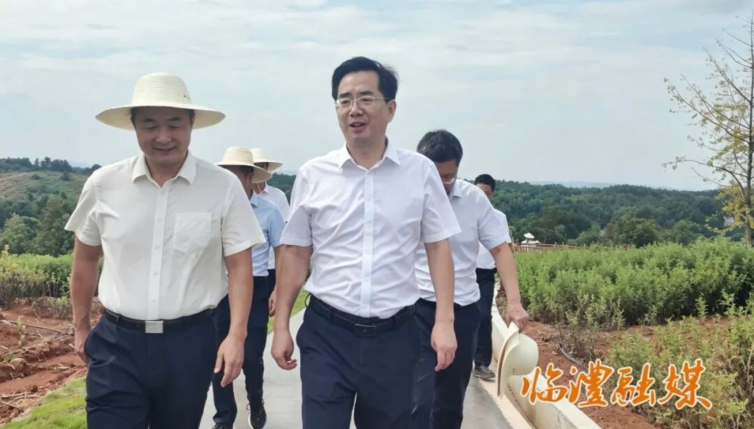 全省林业产业高质量发展现场推进会走进临澧